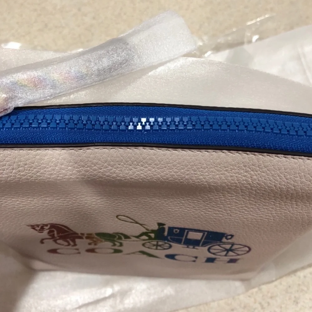 COPY - Coach Rainbow Crossbody Bag - Picture 4 of 8